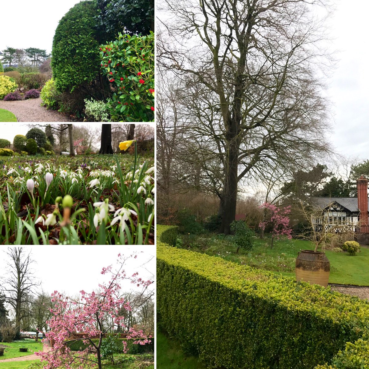 A mild start to the morning for open gardens at Bishop’s Lodge Gardens.  Today (Thursday) 10am - 4pm.