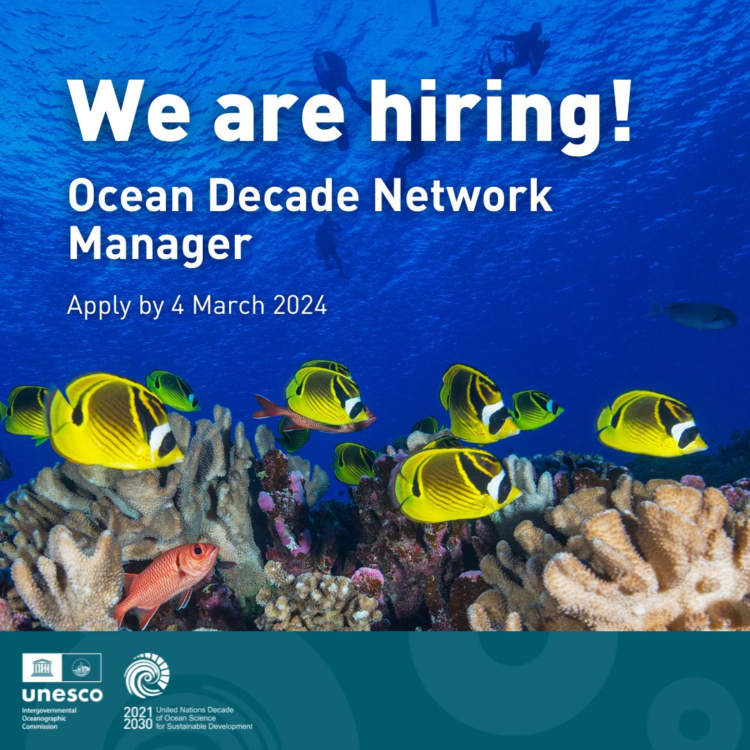 [JOB OFFER] We're looking for an Ocean Decade Network Manager! This is an exciting role at the heart of the #OceanDecade. Join us to shape our Network and work with a community of dedicated Ocean Decade actors worldwide! 🔎Details: ow.ly/QMyA50QBC87 ⏰ Apply by 4 March