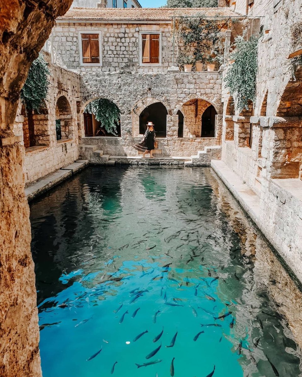 HrvatskaNaDlanu's tweet photo. The dreamiest place ever 😍✨ @visithvar
・・・
Tvrdalj #castle 🏰 #fishpond 🐟💦 #mustsee #mustvisit
・・・
📍Stari Grad #Hvar by: @chiacups.studio
・・・
👉 https://t.co/SbVQZDS4gn
・・・
#TvrdaljCastle #adriaticdream #VisitCroatia #VisitHvar https://t.co/F1ULTP3oly