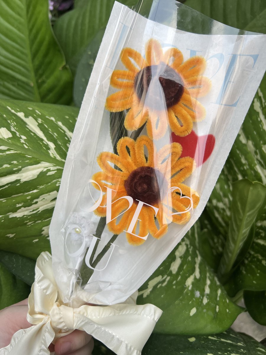 onemoreflower (@onemoreflowerr) / Posts / X
