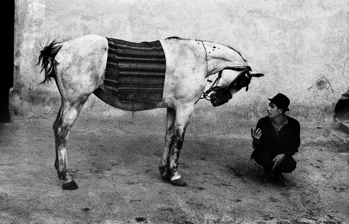 Josef Koudelka: Next encompasses over six decades of the photographer’s oeuvre in an illustrated biography by writer, editor. and curator Melissa Harris. 

Discover the book: bit.ly/3wdlJgU

© Josef Koudelka / Magnum Photos