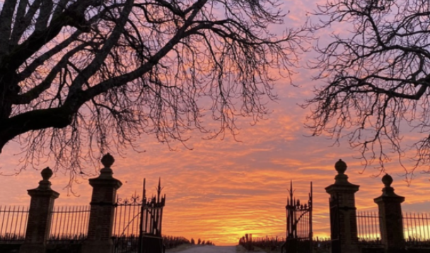 janeansonwine's tweet photo. Nine decades of Château #Giscours, back to 1935, on today's #newcontentthursday - to mark that finally, after 28 years of disputes, the Dutch Albada-Jelgersma family took sole control of the estate on December 13, 2023.
https://t.co/x2Ifk8GdJg https://t.co/a0XNYcr5w1