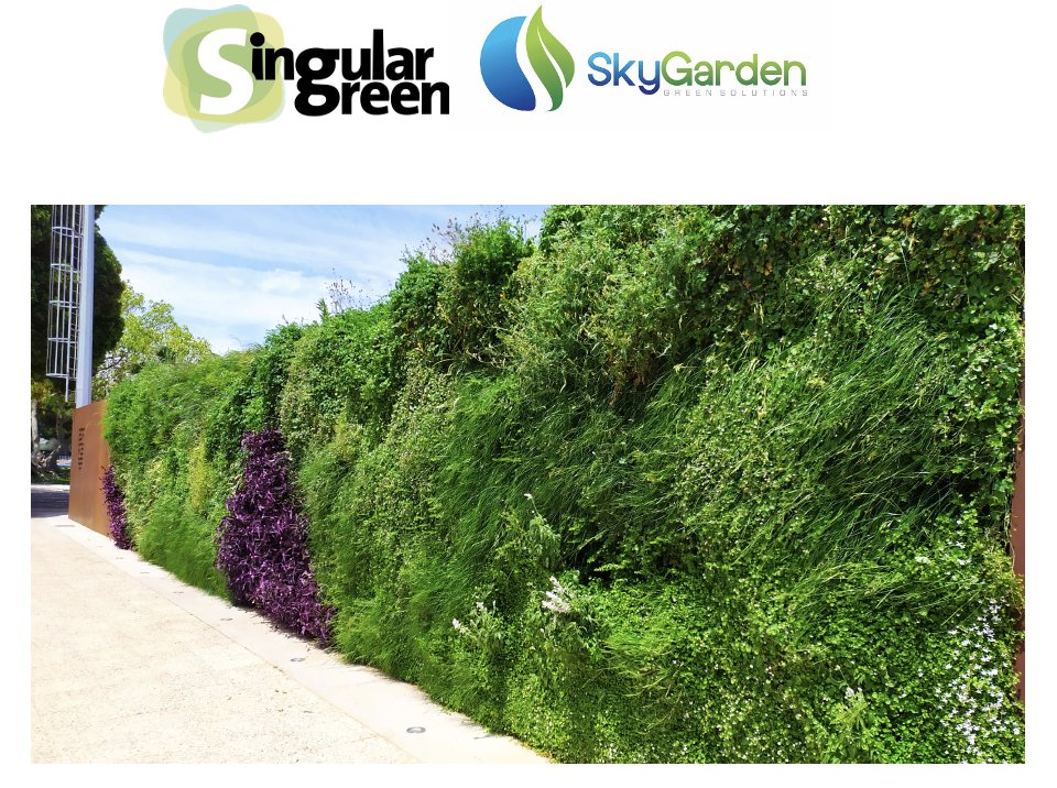 ****🌿 Exciting news!****

Sky Garden is thrilled to announce our partnership with @SingularGreen, a pioneering force in sustainable construction and urban greening solutions. 

#SingularGreen #SkyGarden #GreenWall #GreenWallDay #SustainablePartnership