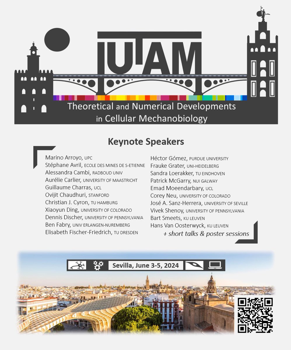 We are organizing the #IUTAM congress: “Theoretical and Numerical Developments in Cellular Mechanobiology”.

Abstract submission is opened until 29th Feb: gestioneventos.us.es/congreso-iutam

See you in Sevilla! ❤️🧪💉💊🦠🔬

Please RT #Biomechanics #Mechanobiology