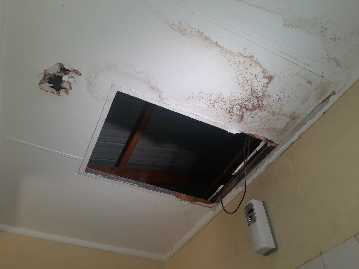 Refiloe Fiffy Seboko tweet media