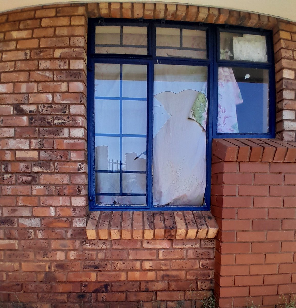 Refiloe Fiffy Seboko tweet media