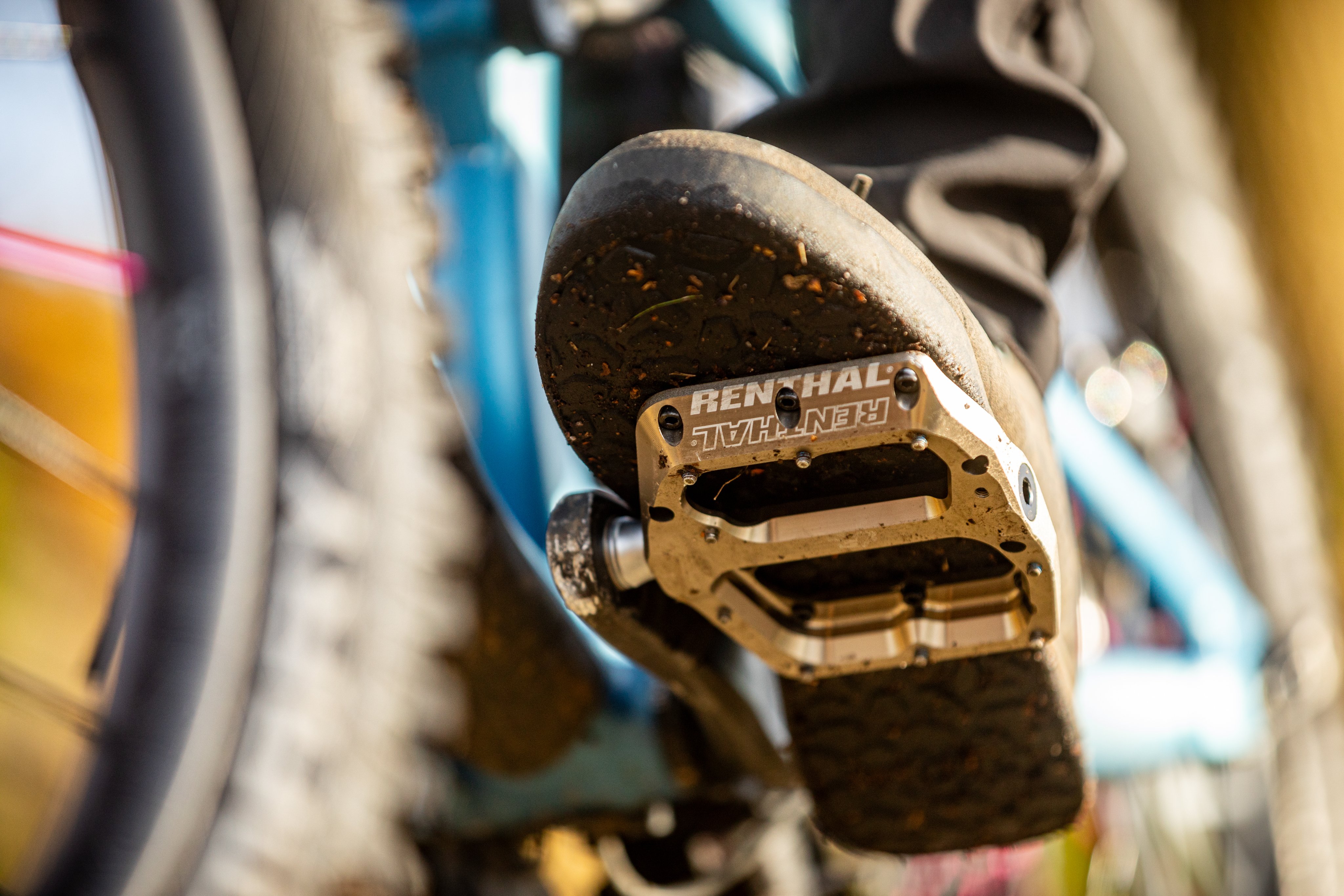 Tredz cycles outlet