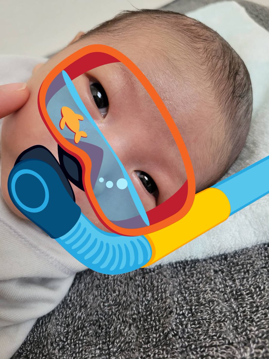VoChigu's tweet photo. おいお前ら、いつのまにかパパになったぞ🐢 https://t.co/QZ8mWuvAsP