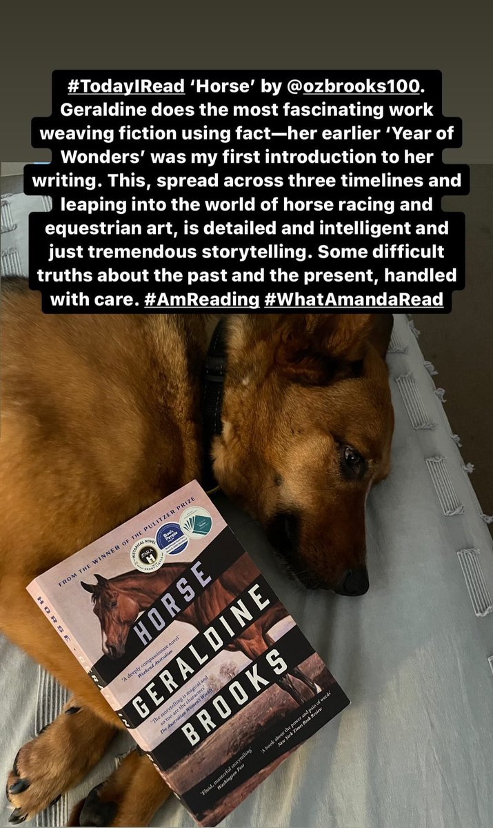 Amanda McLeod Writes tweet media