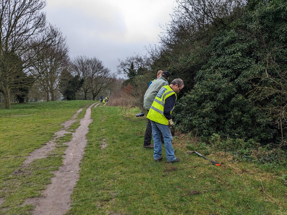 Crab apple, dogwood, guelder rose, hawthorn and hazel - 125 little trees going into this deep hedge in Eaton Park. In the trees a song thrush, robin and wrens call.