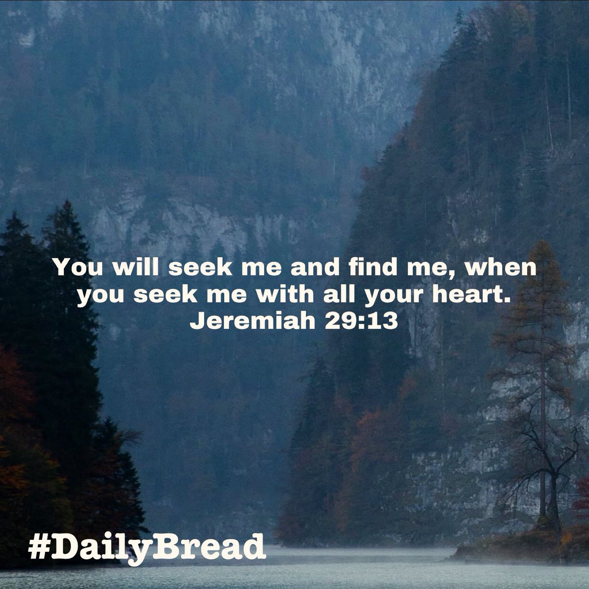 You will seek Me & find Me, when you seek Me with all your heart… 
#Jeremiah 29:13
#DailyBread #GodsPlan #SeekTheLord #SpeakLife