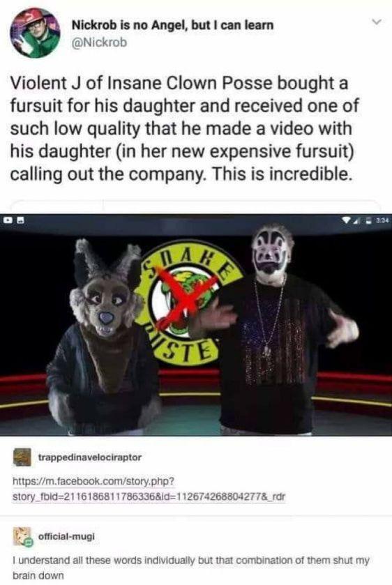 Furry🤡irl Posted by: argus25 Source: reddit.com/r/furry_irl/co…