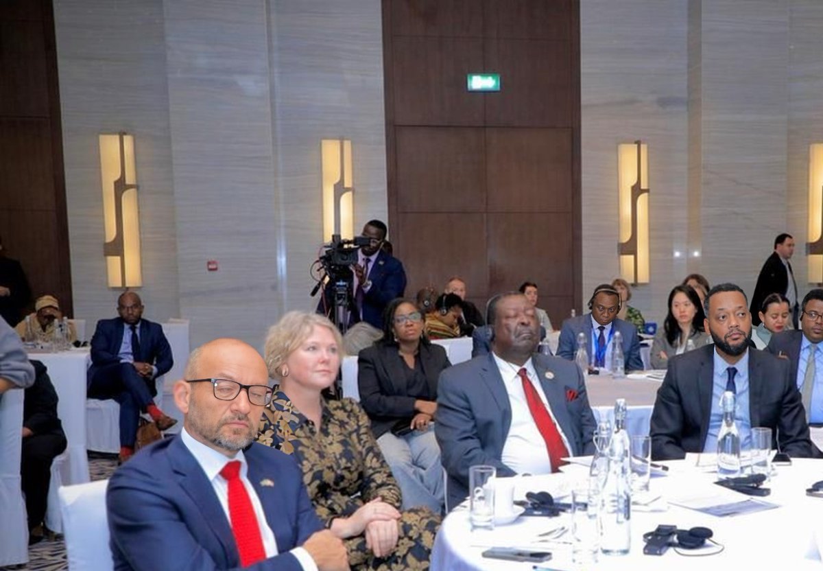 Representing @EIBGlobal at a high-level dialogue on #BlueEconomy with esteemed leaders incl @EUtoAU Ambassador Niño & AU Commissioner @JosefaSacko. Since 2018, @EIB invested about €7 billion in #BlueEconomy worldwide incl in Africa and remains committed. #GlobalGateway #AUSummit