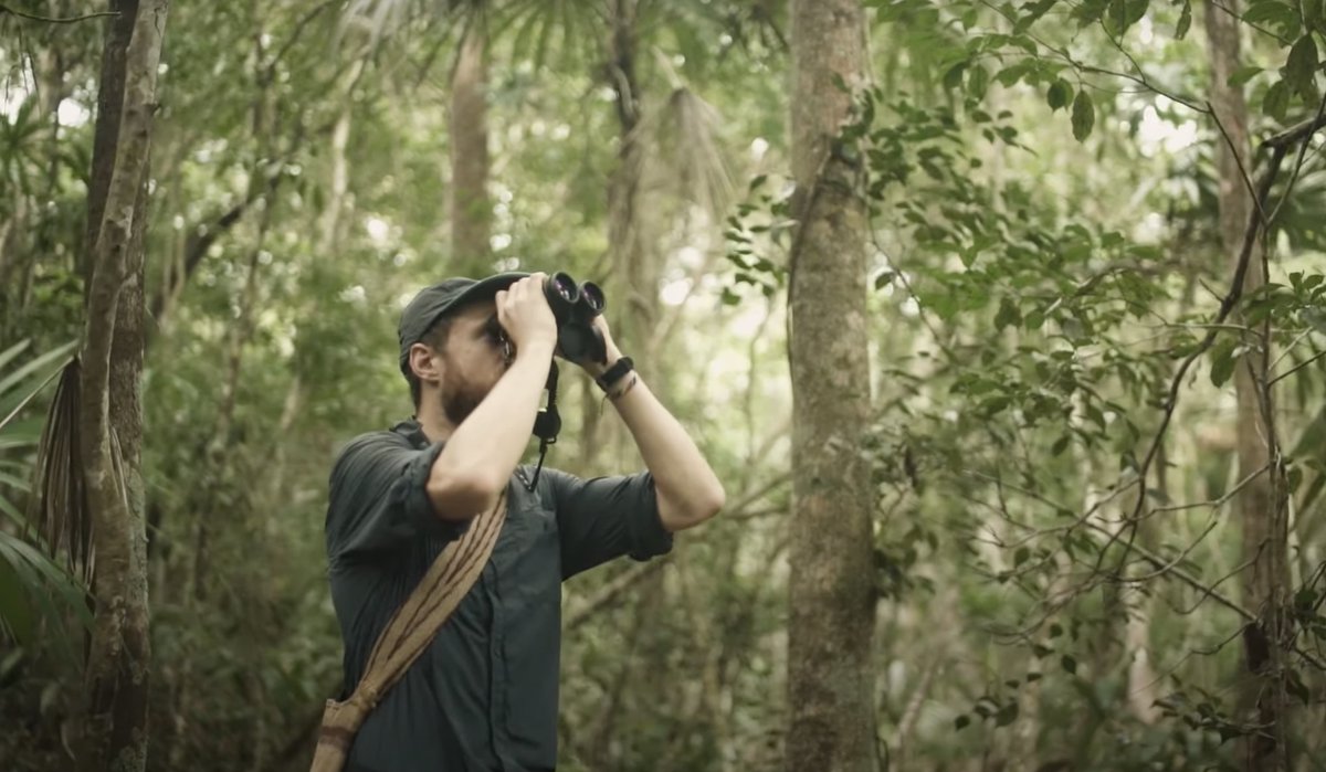 Gregg Bleakney (@greggbleakney) on Twitter photo Our passion project, <a href="/TheBirdersShow/">The Birders Show</a> goes on quest for a key symbol of Mayan culture, the King Vulture, in the Yucatan of Southern Mexico.
👉🏽 hubs.ly/Q02kMYpf0 Our passion project, <a href="/TheBirdersShow/">The Birders Show</a> goes on quest for a key symbol of Mayan culture, the King Vulture, in the Yucatan of Southern Mexico.
👉🏽 hubs.ly/Q02kMYpf0