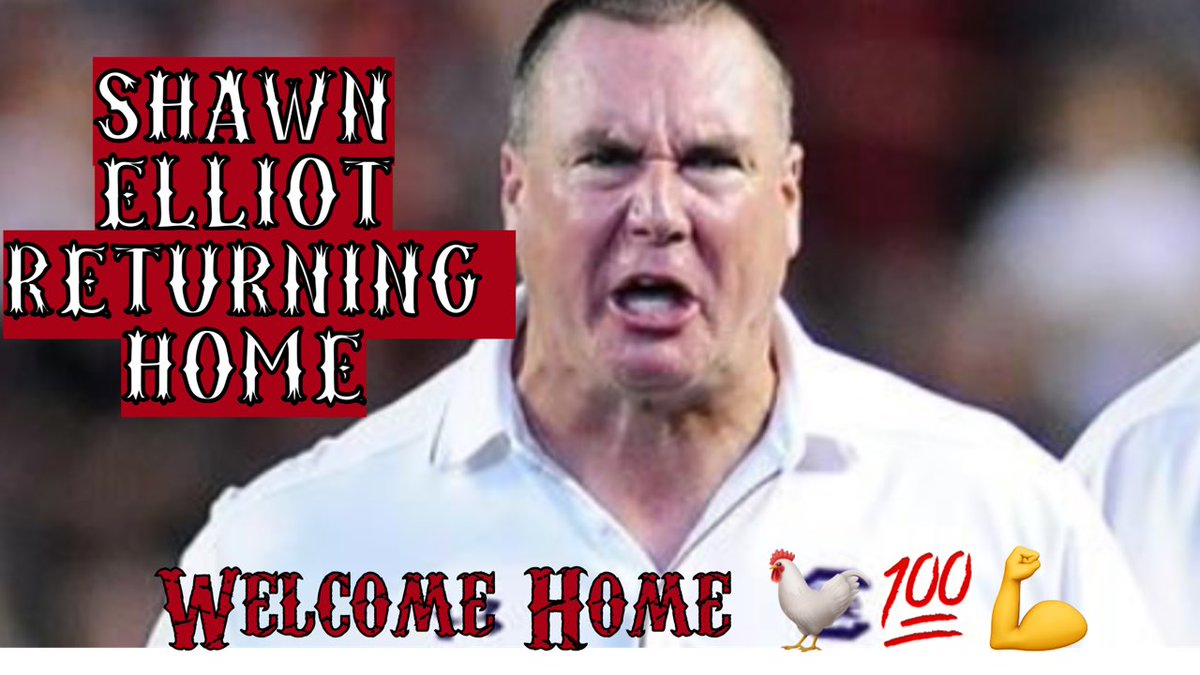 Twisted Rooster tweet media