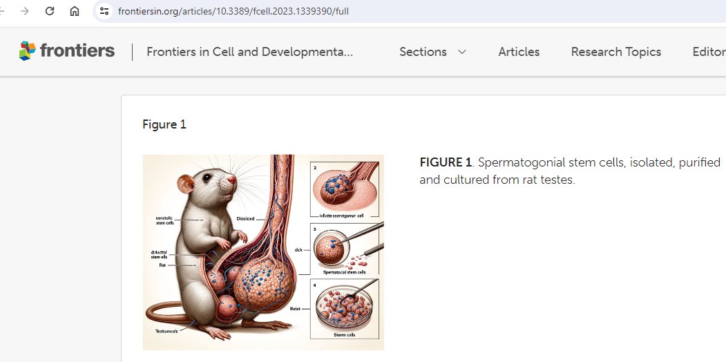 Mikael Niku tweet media