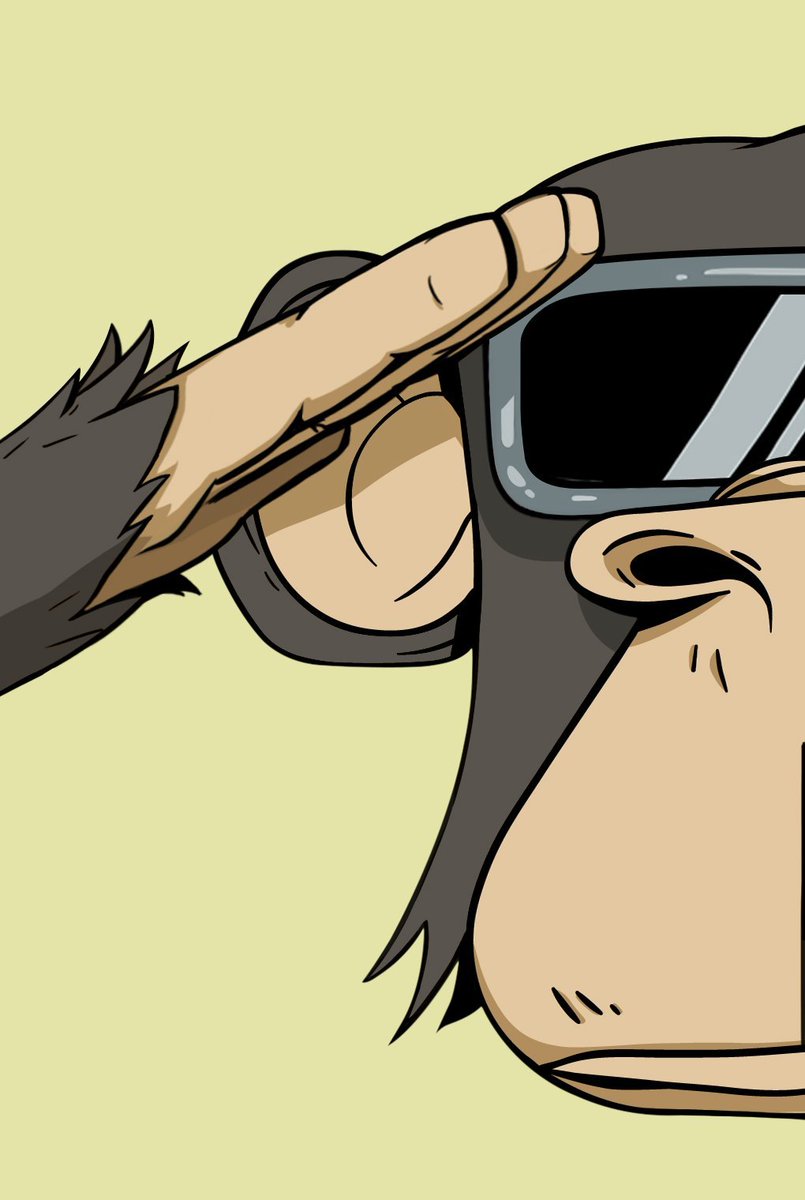 Chimpers Dojo tweet media