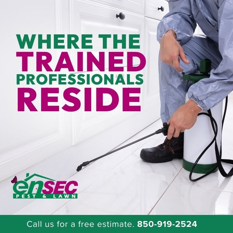 EnSecPest's tweet image. Our trained technicians are equipped to tackle any pest issue effectively. Call us today for expert solutions! #PestControl #ExpertTechnicians #EffectiveSolutions