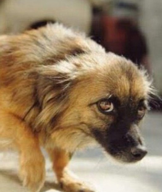 UNEB RELEASED😁😂😂

Vacation.                         Now