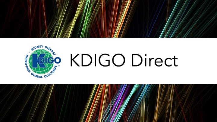 Check out the February issue of KDIGO Direct for the latest news and updates from KDIGO: kdigo.co/KDIGO-Direct-F…

In this issue: KDIGO holds Asia-Pacific Implementation Summit on Diabetes and Blood Pressure in CKD, Scope of Work for the KDIGO Controversies Conference on Kidney