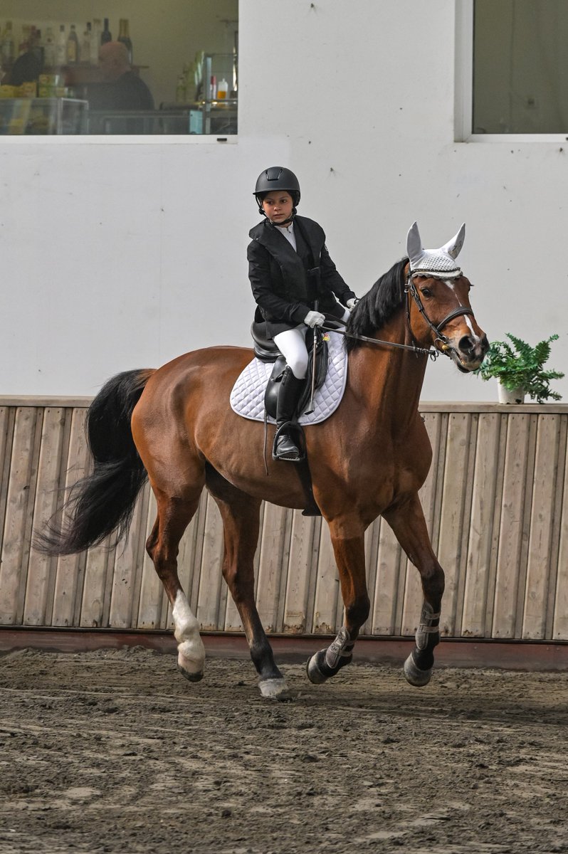 Congratulations to Diana Uzun from Year 7 for successfully passing the equestrian exam and receiving a licence to participate in further competitions - well done Diana!