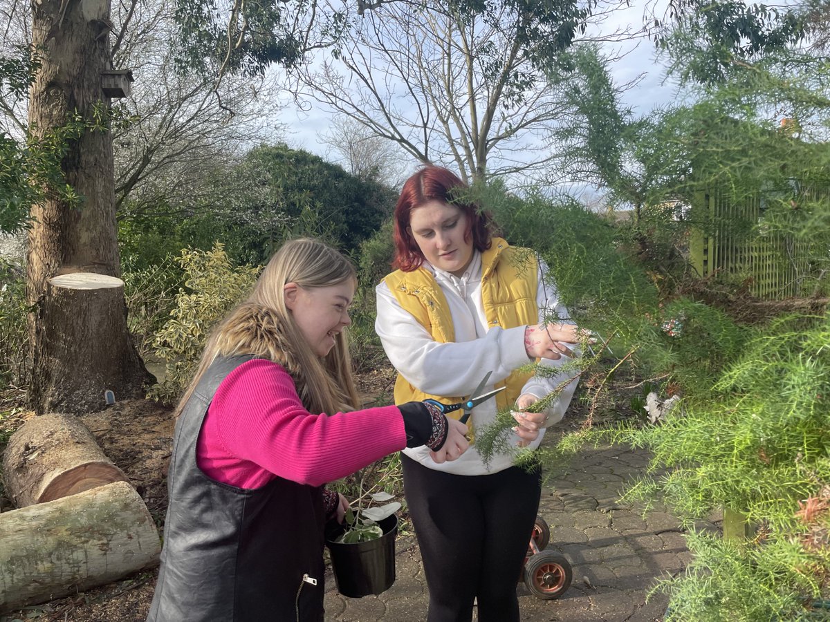 Genesis Orwell Mencap tweet media