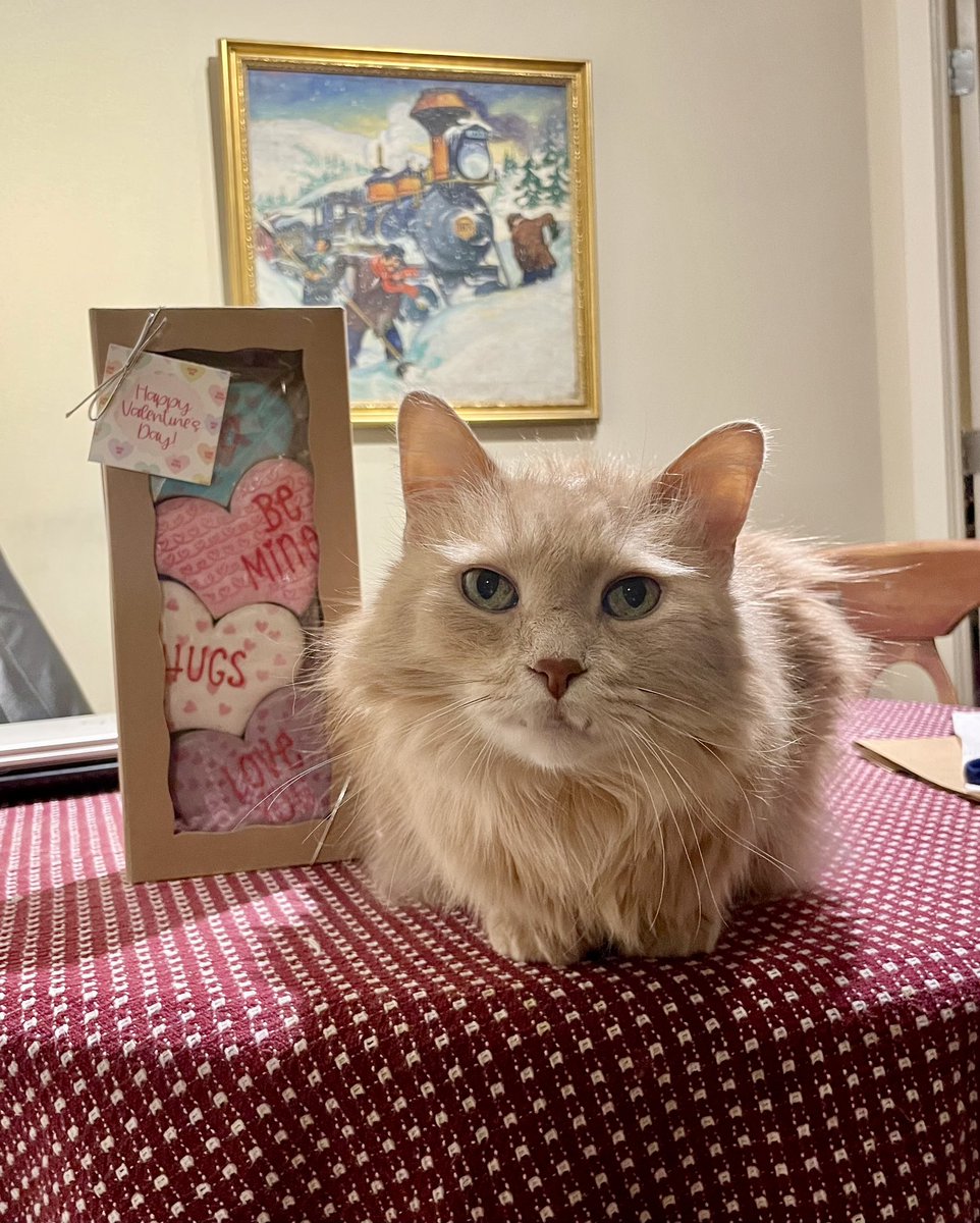 Daniel Hubbard tweet media