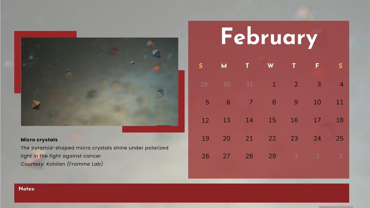 BPS Arizona Student Chapter (@bps_az) on Twitter photo Guess what this is a leap year, we have an additional day to explore Science🤝
Here we present beautiful microcrystals prepared by Kohilan at Fromme's lab <a href="/ASUBiodesign/">Biodesign Institute at Arizona State University</a> Guess what this is a leap year, we have an additional day to explore Science🤝
Here we present beautiful microcrystals prepared by Kohilan at Fromme's lab <a href="/ASUBiodesign/">Biodesign Institute at Arizona State University</a>