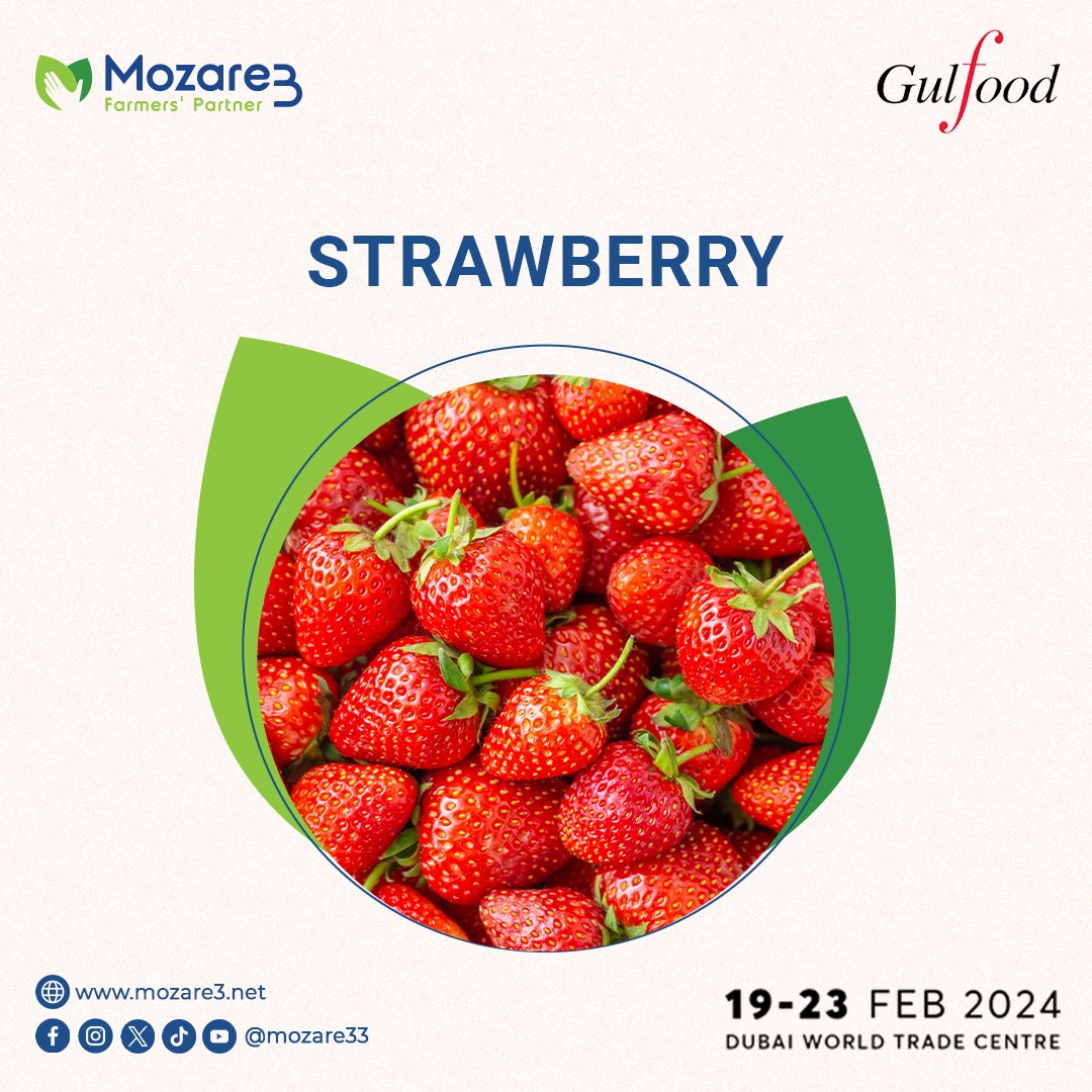 We would love to meet you at GulFood Expo 2024
Date: 19-23 February 2024
Location: Dubai World Trade Center, Dubai - UAE

To schedule a meeting with Mozare3 team at the Expo, please contact us at:
Tel: +201113383302
e-mail export@mozare3.net
#mozare3 #gulfood #Gulfood2024 #dubai