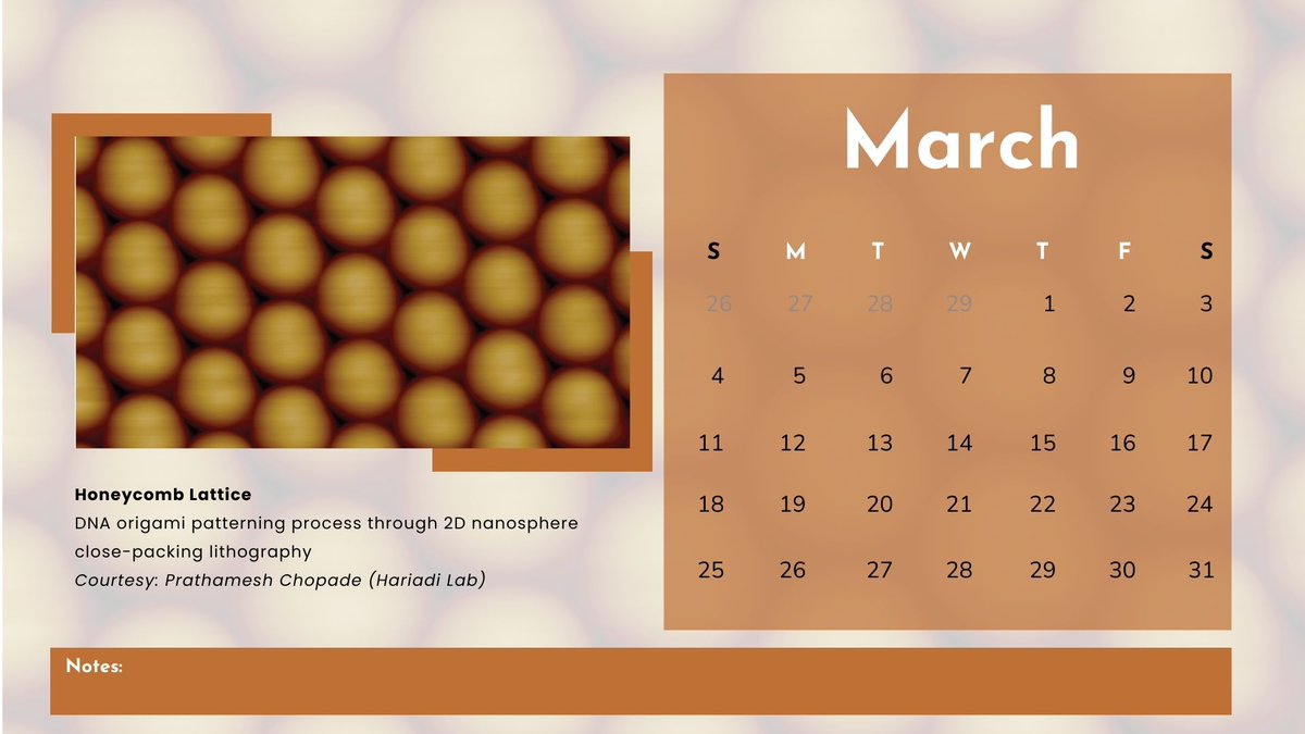 BPS Arizona Student Chapter tweet media