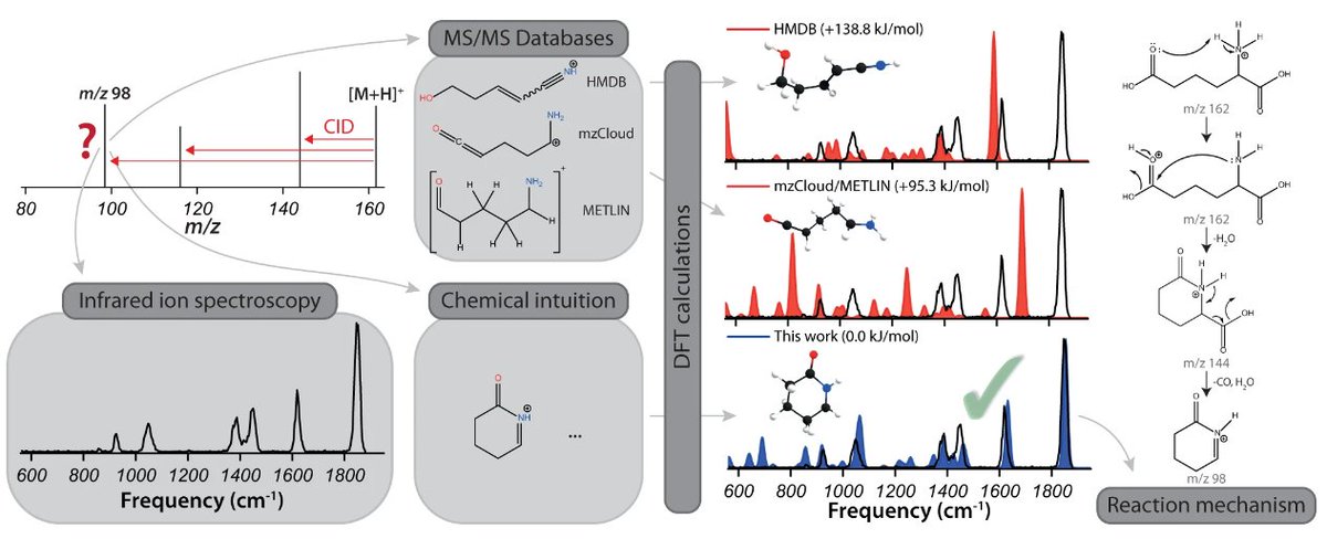 Experimental evidence on the incorrectness of virtual fragment ion annotations in major in silico MS2libraries, reported by <a href="/HFML_FELIX/">HFML-FELIX</a>
<a href="/WishartLab/">David S. Wishart</a> nature.com/articles/s4200…