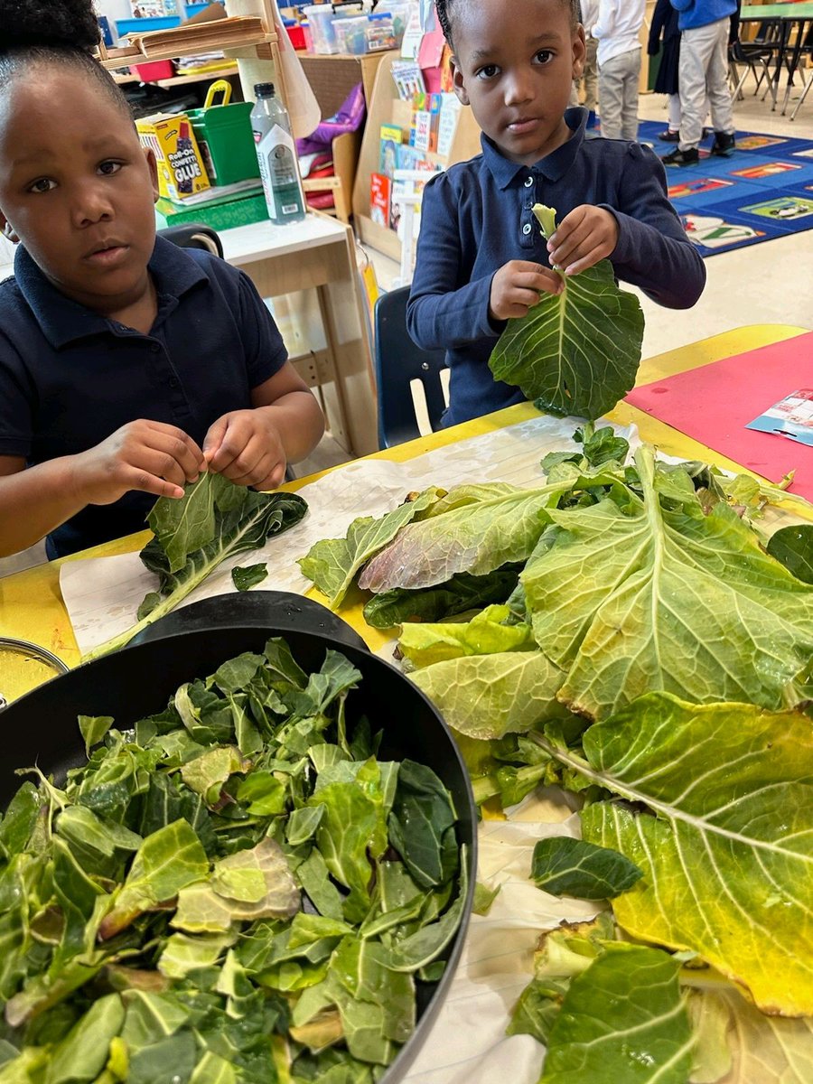 LoopItUpSavannah! tweet media