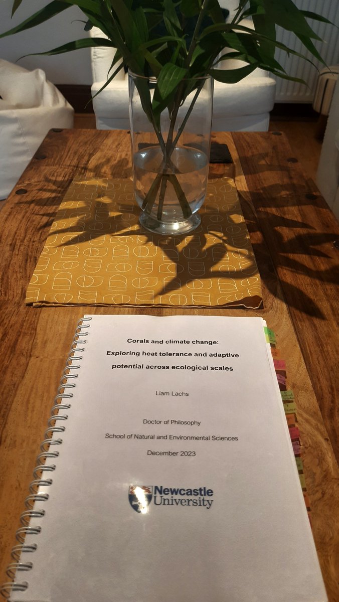 Liam Lachs tweet media