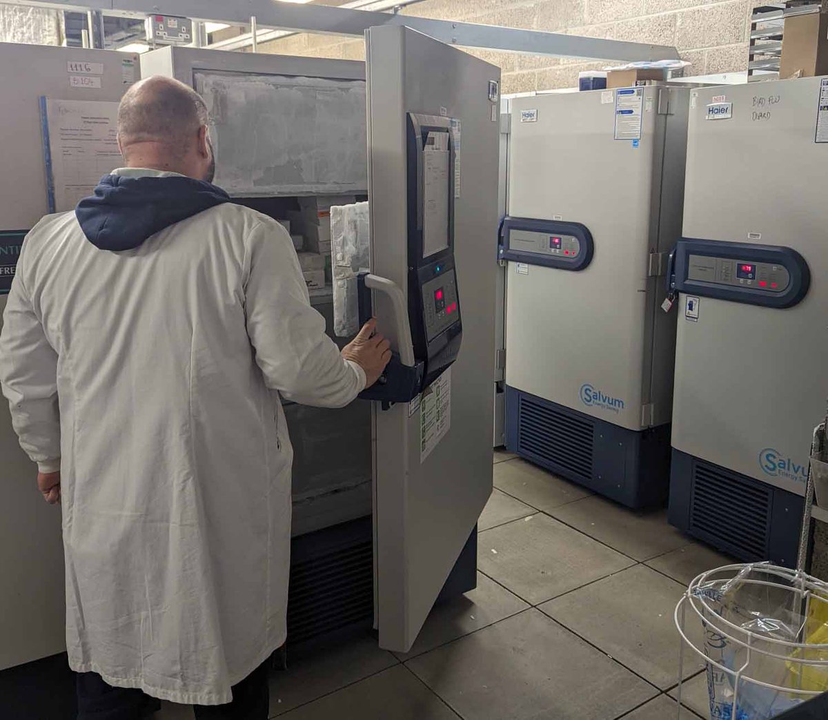 HaierBiomedical's tweet image. Discover how we partnered with @roslininstitute, Scotland, to address some of its most critical #ColdChainStorage challenges. 

Read the full case study here: ow.ly/4bzf50QBJHs 

#BiomedicalSolutions #BiomedicalFreezer