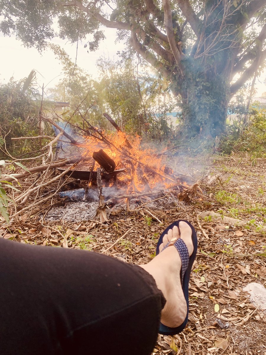 thegardennymph's tweet photo. Itโs a good day to clear more land โฆ
Chilly in Florida โค๏ธ
Ash makes great compost โฆ
Am I wrong for liking fire this much ๐๐คทโโ๏ธ
#land #fire #GardeingTwitter #smoke #joy #mygarden #gardening https://t.co/E6kVooVYSz