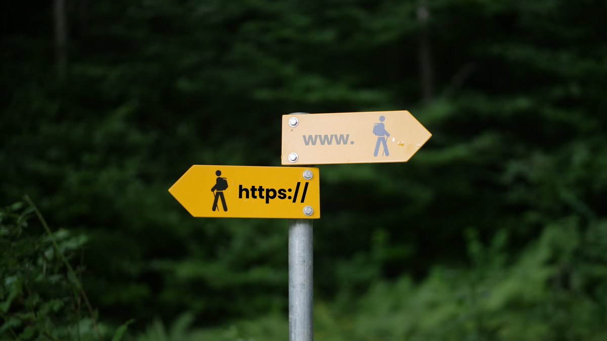 HoneyBee Marketing & SEO tweet media