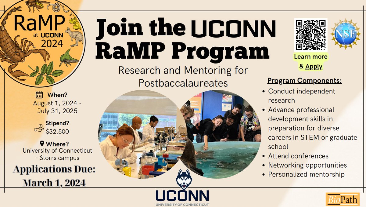 Apply! @UCONNRaMP is the yearlong Research Training Program for recent graduates. Our program offers a unique blend of structured cohort-based learning and individualized research experiences. Submission are due March 1st, 2024. genome-postbac.biology.clas.uconn.edu
