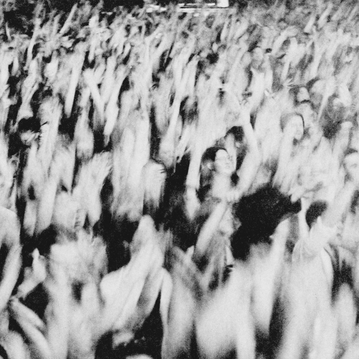 The 1975 tweet media