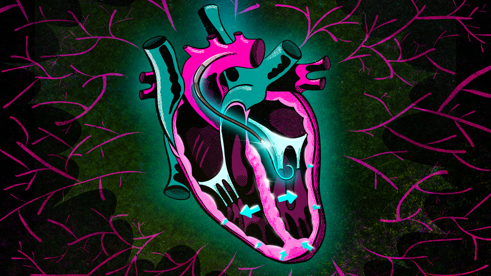 Massachusetts Institute of Technology (MIT) tweet media