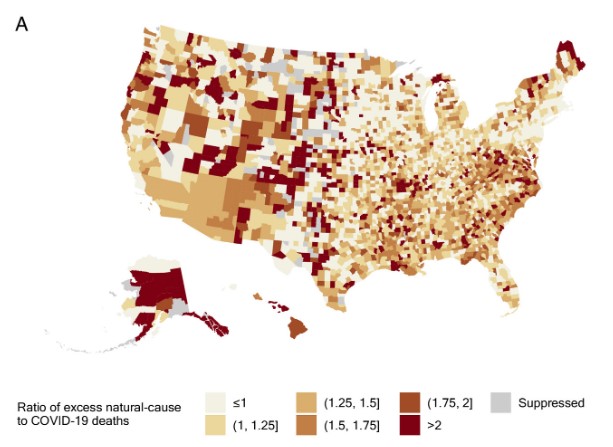 One of the most-viewed PNAS articles in the last week is “Excess natural-cause mortality in US counties and its association with reported COVID-19 deaths.” Explore the findings here: ow.ly/5Mqz50QBYvX For more trending articles, visit the PNAS at ow.ly/bOG650QBYvZ.