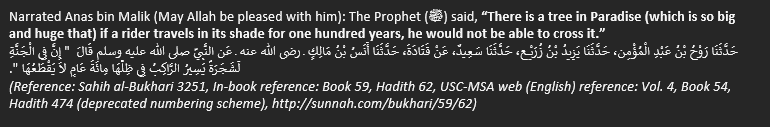 NaadirSoofi's tweet photo. https://t.co/0bX8VxWdiU