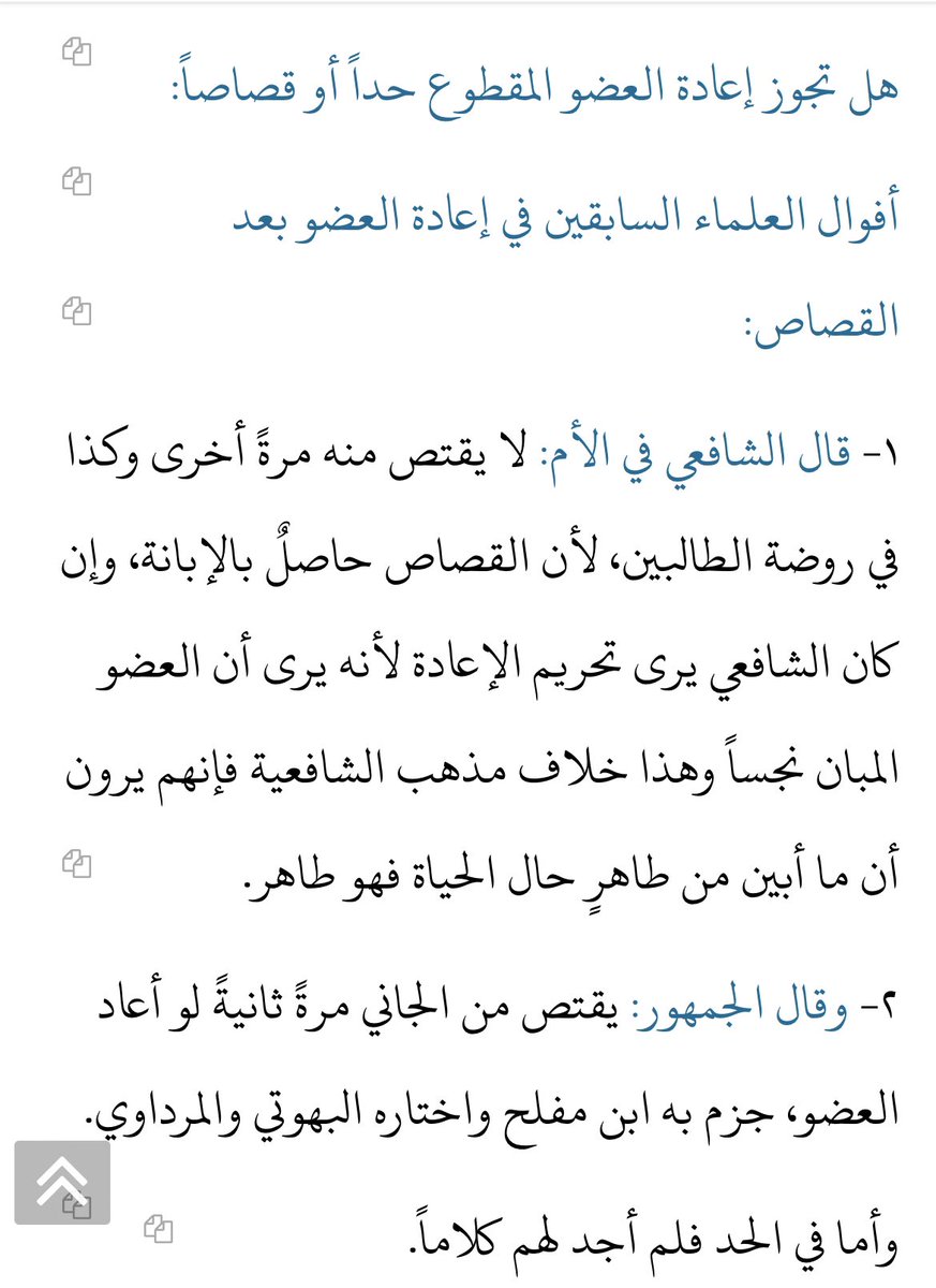 raay_n10 tweet picture