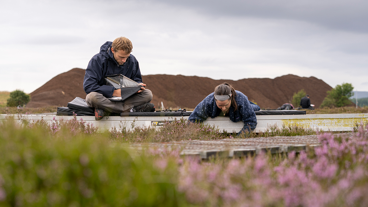 Measuring nitrogen’s impact on sensitive ecosystems for over 20 years: a one-of-a-kind study about the impacts of excess #nitrogen🌿 Discover data from our Whim Bog experimental study: ceh.ac.uk/data-nature?ut… Data from nature, for nature 💚 #DataNature #UKSCAPE