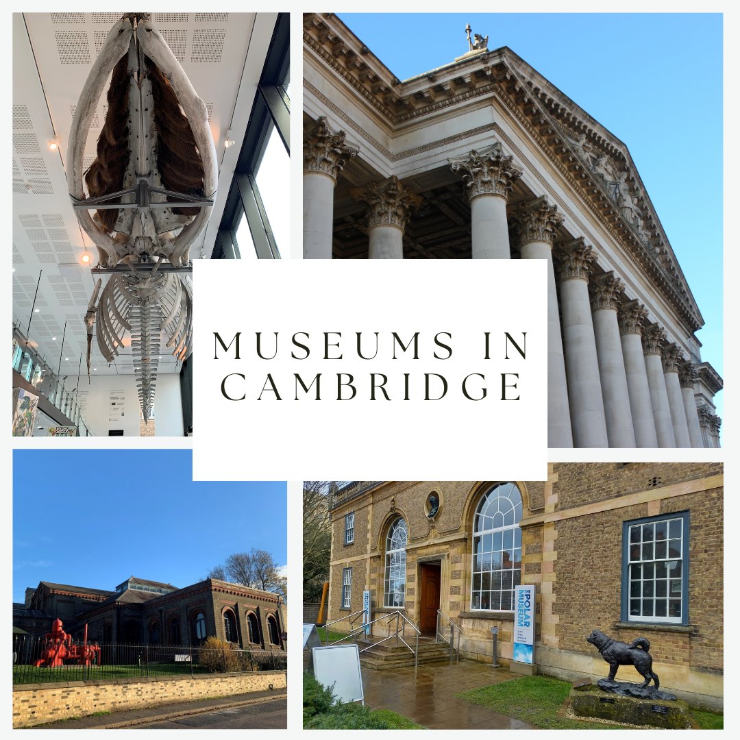 Did you know there are 12 museums in Cambridge and they all have something unique to offer?
 If you are looking for half-term holiday ideas take a look at our Museums of Cambridge Guide.
christscollegehospitality.co.uk/10-museums-in-…
#musuemsincambridge #visitcambridge #cambridge #explorecambridge