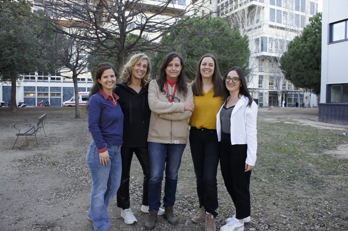UniBarcelona's tweet photo. #RecercaUB | 🧠 Un estudi sobre #Parkinson, liderat per @ConsiglioLab, ha identificat unes cèl·lules cerebrals que ataquen i eliminen les cèl·lules nervioses que produeixen la dopamina, un neurotransmissor que controla el moviment voluntari i és clau en aquesta patologia.

«Si poguéssim trobar la forma correcta de modular el sistema immunològic, podríem alentir el procés de la malaltia», afirma A. Consiglio.

👉https://t.co/PZnLeQSJzM