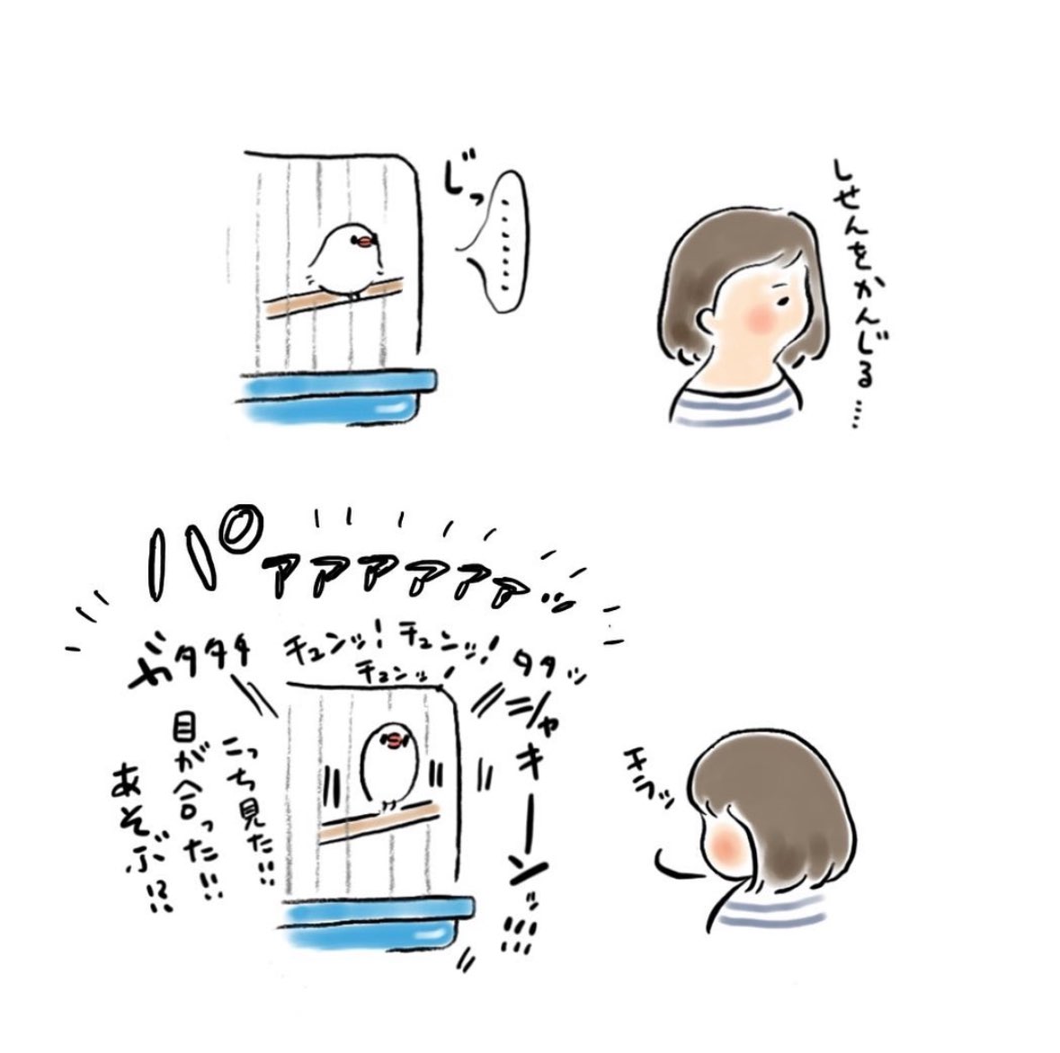 明日も20〜21時にイラスト投稿します🐦
『目が合うだけで歓喜してくれるぶんちょ』(再掲) 