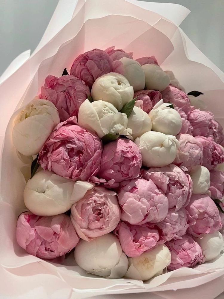me casaré el día que me regalen peonias cada día