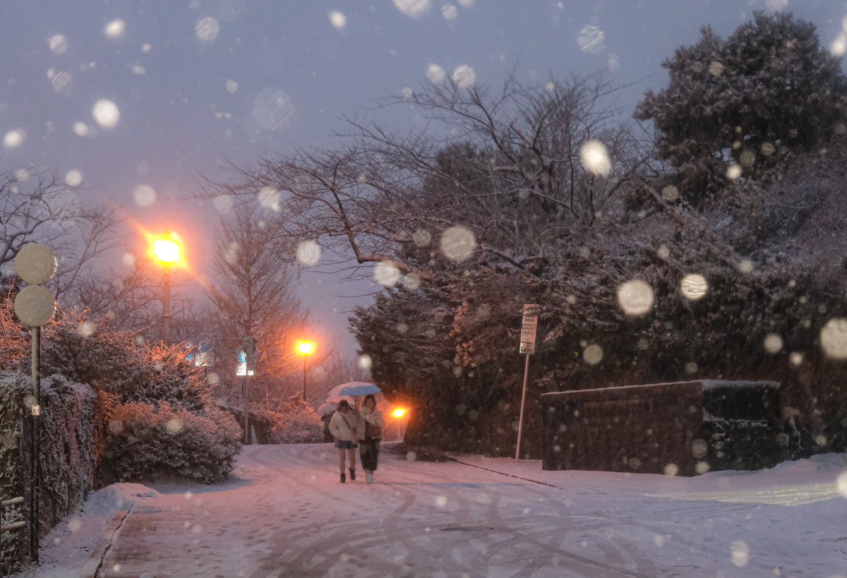 of__rasha's tweet photo. 눈 내리는 밤을 보러 찾아온 하코다테 : 函館 https://t.co/GX3SWfjzC2