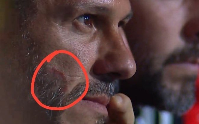 Glass Onion tweet media