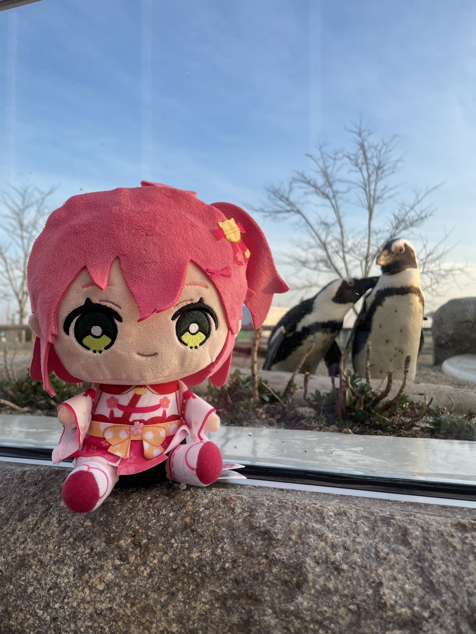 🌸まめんち🏴‍☠️ on X: 